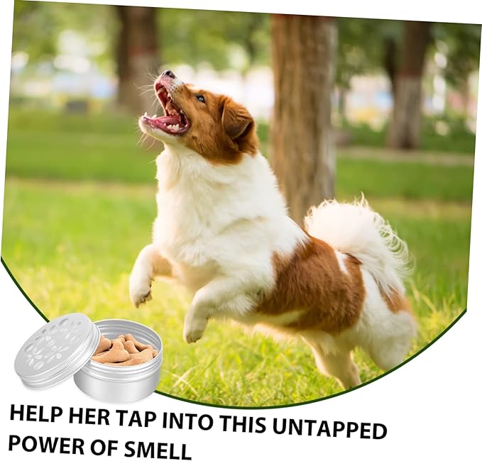 BESPORTBLE 10pcs Dog Scent Training Kit Aluminum Sniffle Box for Smelling Training Treats for Dogs Odor Tool Nose Tool