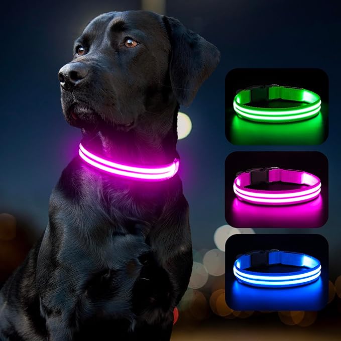 BSEEN Light Up Dog Collar, Glowing LED Dog Collar Rechargeable Lighted Pet Necklace Safety Dog Lights for Night Walking (Pink, Large)