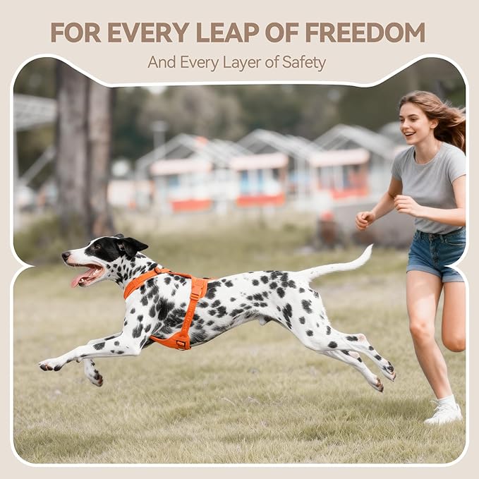 No Pull Dog Harness with Lycra, Three-Point Force Dispersion & 3D Padding, Adjustable Breathable Mesh for Small Medium Large Dogs(Orange,L)