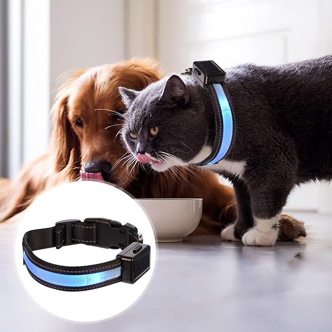 HOMSFOU LED Solar USB Rechargeable Light up Collar for Dogs, Glowing Puppy Collar with Blue Led, Size S, Suitable for Night Walking and Outdoor Pet Safety