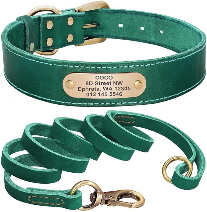 Real Leather Dog Collar Leash Set Personalized Genuine Leather Dog Pet Collars Leashes Custom for Small Medium Large Dog Pitbull Green Collar Leash 2XS