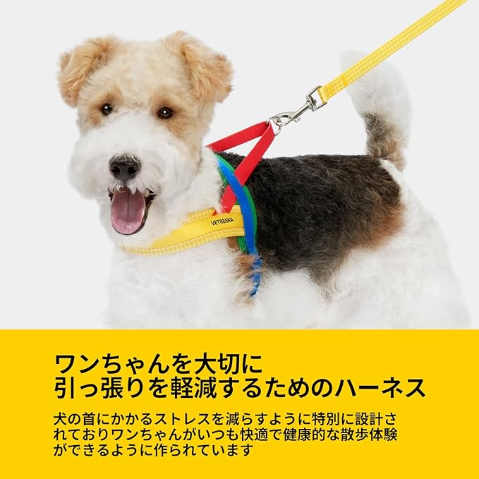 VETRESKA MoMA Dog Harness and Leash Set, Easy Walk Dog Harness for Small Medium Dogs, No Pull Puppy Harness for Walking and Training, Adjustable, Take Control & Anti-Twist Pet Lead Combo(Yellow, XS)
