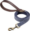 Didog PU Leather Dog Leash for Small Dogs 4.5ft, Soft Padded Handle Dog Leashes for Medium Size, Walking and Training Leashes Faux Leather for Large Pet,Blue