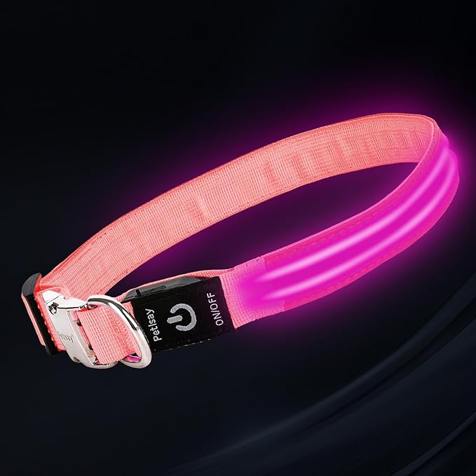 LED Dog Collar with Metal Buckle - USB Rechargeable Glow Collar for Dogs, Waterproof Light Up Dog Collar w/Reflective Strips - Adjustable Night Safety Collars by PetIsay(Pink, Small)