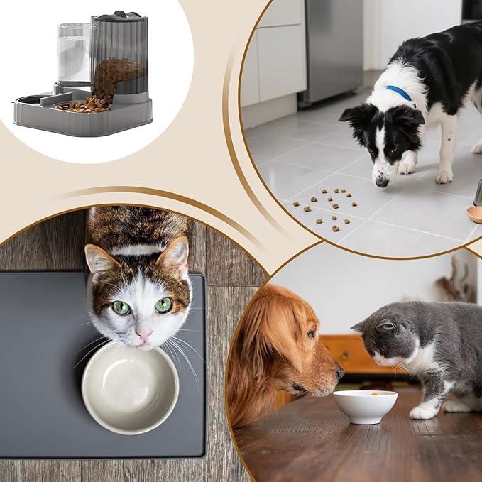 Automatic Controlled Dog Feeder - 2 in 1 Pet Feeder and Waterer | Pet Food Bowl for Wet Dry Food Dispenser with Controlled Feed Outlet for Small Medium Pets Home Outdoor