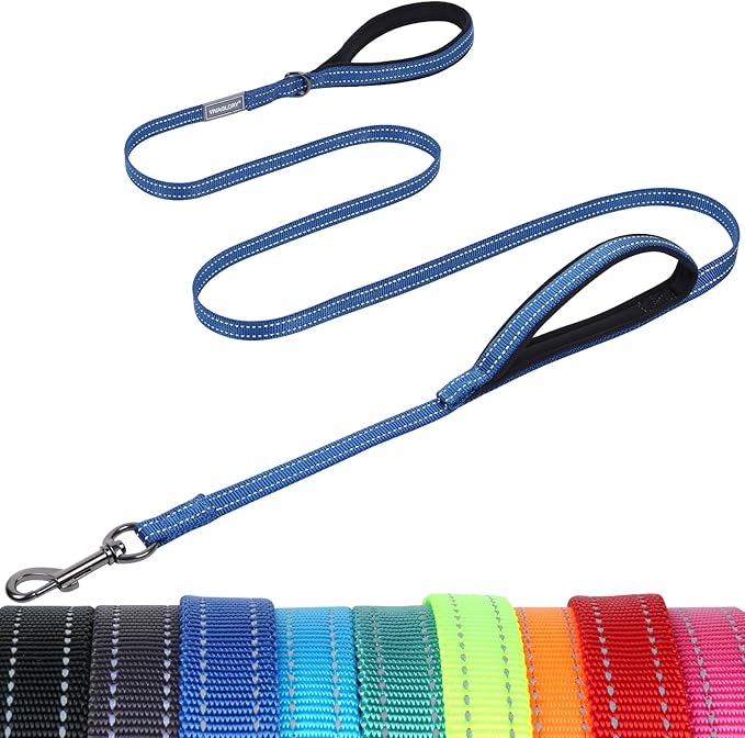 VIVAGLORY Twingrip Dog Leash, Double Handle Dog Leash for Training & Walking with Traffic Handle & 2 Loop, Traffic Control Reflective Heavy Duty for Puppy Pet, 4ft x 1/2in, Blue