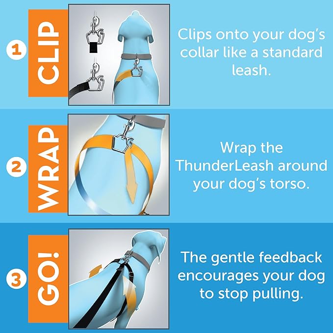 ThunderLeash No-Pull Dog Leash (Small (12 to 25 lbs), Black)