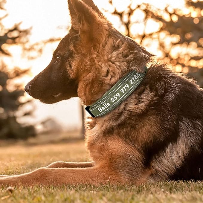 Personalized Large Dog Collar Military Tactical Dog Collar Custom Reflective Pet Collars for Medium Large Dogs German Shepard Green L