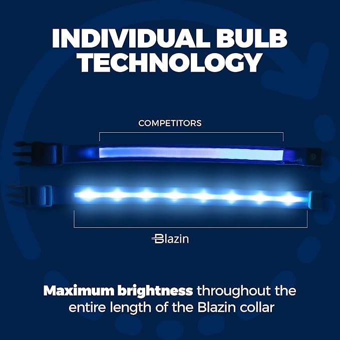 Blazin Light Up Dog Collar - The Original LED Dog Collar - USB Rechargeable - Waterproof - 1,000 Feet of Visibility - Dog Collar Light for Small, Medium, Large Dogs - USA Brand