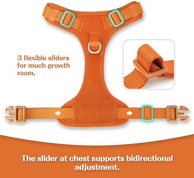 No Pull Dog Harness for Small Medium Large Dogs - Adjustable 2 Layer Mesh Dog Vest with Dual Clip, Escape Proof, Quick Release, Lightweight Breathable Mesh for Walking Hiking (Orange,L)