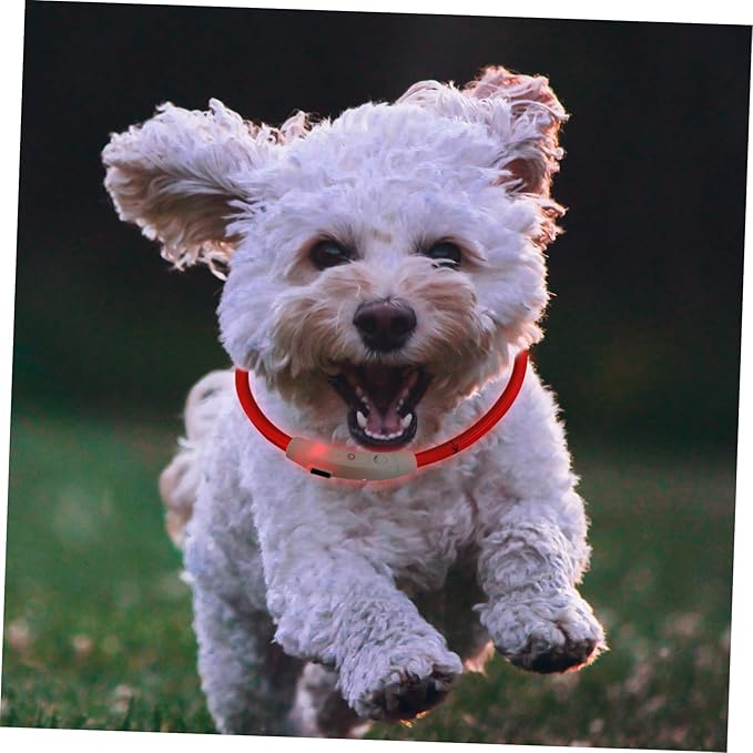 Totority LED Dog Collar Rechargeable Glow Collar for Night Safety Stylish Pet Accessory for Parties and Outdoor Activities High Visibility