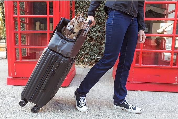 Sleepypod Atom Pet Carrier (First Blush)