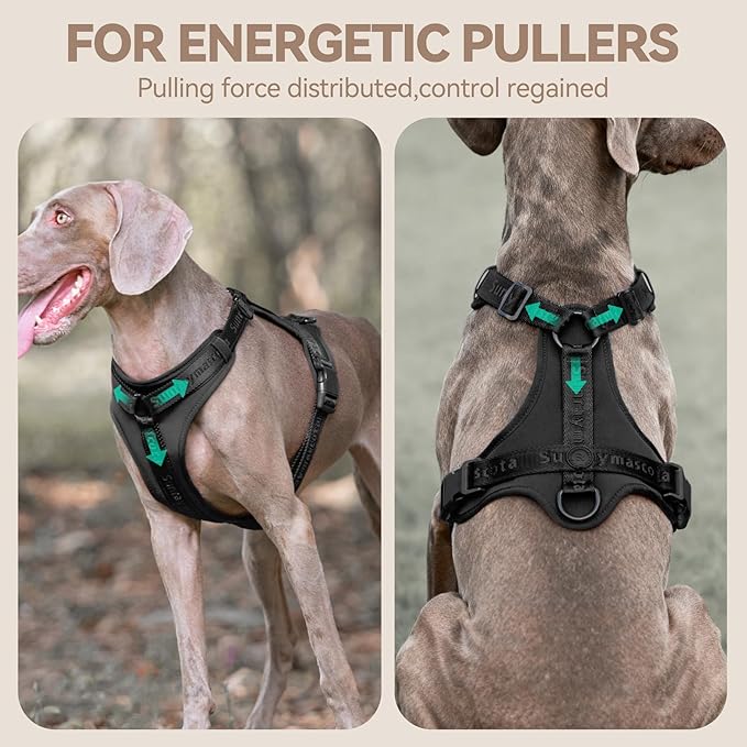 No Pull Dog Harness with Lycra, Three-Point Force Dispersion & 3D Padding, Adjustable Breathable Mesh for Small Medium Large Dogs(Black,S)