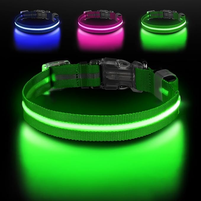 Spring Green Medium LED Dog Collar | Night Walks just got safer | Ultra-Bright LED Collar | USB Rechargeable | Waterproof| Adjustable & Durable | 4 Light Modes | Keep Your Pup & Yourself Safe!
