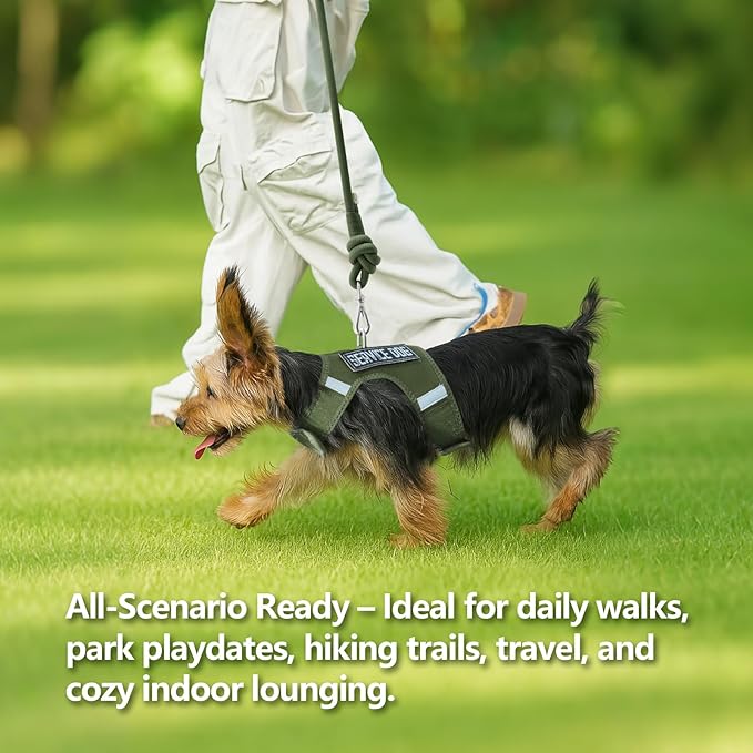 Dog Harness for Puppy – Adjustable Reflective Easy Put On Soft Mesh Vest for Small Dogs with 2 Patches (Misty Green,XXS)