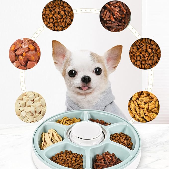 Automatic Pets Feeder Bowl 6 Grids Pet Feed Tool 24h Timer Portion Control Electric Pet Dry Food Dispenser Storing