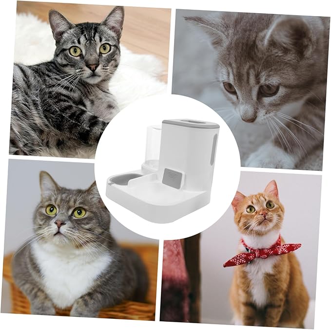 Automatic Water Feeder Large Capacity Dog Food and Water Dispenser Dry and Wet Separation Design