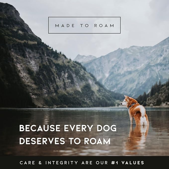 MADE TO ROAM Premium Explorer Leash - Climbing Rope Leash with Autolocking Aviation Aluminum Carabiner - Maine Marina, 4ft