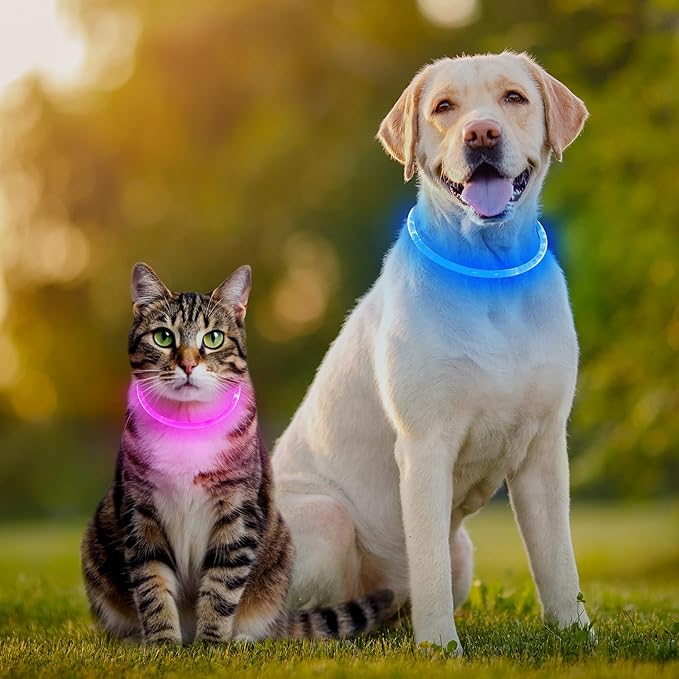 Higo 2 Pack Light Up Dog Collar, USB Rechargeable, Led Lighted, Glow in Dark, Fits Small, Medium, Large Dogs (Pink+Blue)