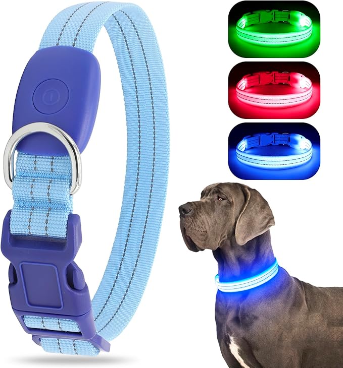 LED Lighted Reflective Dog Collar for Night Safety, USB Rechargeable, Glow Collar for Dogs, Waterproof, Adjustable Flashing (Blue, Medium)