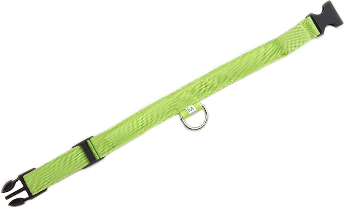 Green Light-Up LED Adjustable Pet Collar (Flashing or Steady Modes) - Rechargeable via USB Cable (Included) by Electronix Express (Medium)