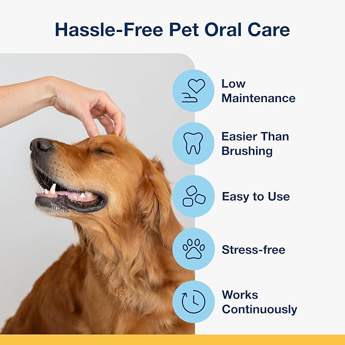 ProDen PlaqueOff Soft Chews with Organic Kelp - for Small & Medium Breed Dogs & Cats - Supports Normal, Healthy Teeth, Gums, and Breath Odor in Dogs & Cats - 45 Soft Chews