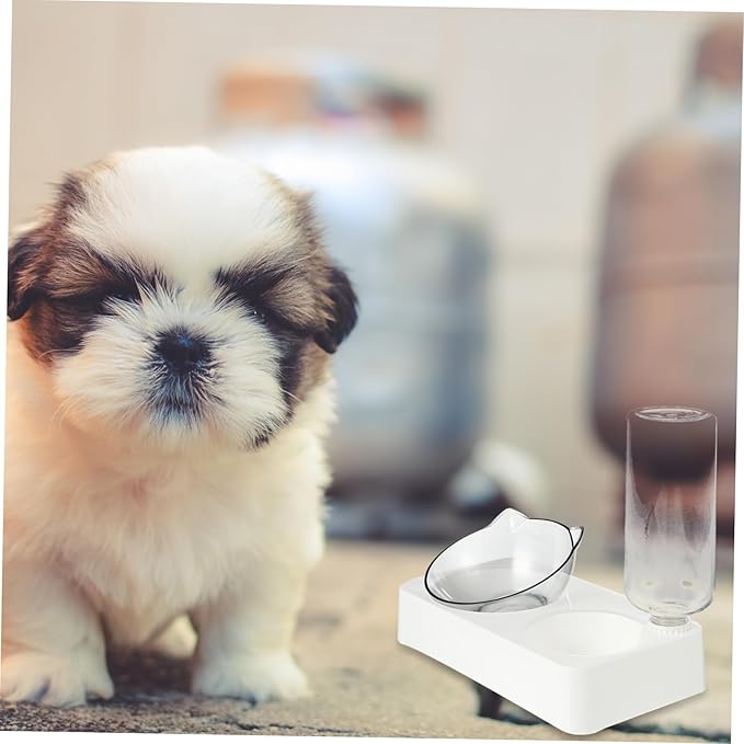 Kisangel Cat Water Dispenser Pet Feeder Automatic Food Dispenser 500ml Pet Accessories Slow Eating Bowl Random Style