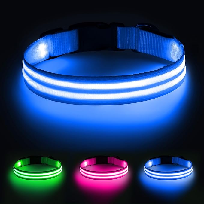 Illumifun Light Up Dog Collar, Rechargeable Water-Resistant LED Dog Collar Glow in The Dark, Flashing Lighted Collars for Pet Walking at Night (Blue, Small)