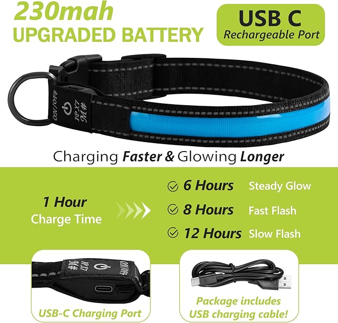 Led Glowing Dog Collars, Lighted Dog Collars for Night, Dog Glow Collar Rechargeable, Light Up Dog Collar for Small Dogs (Blue, Pack of 1, S)