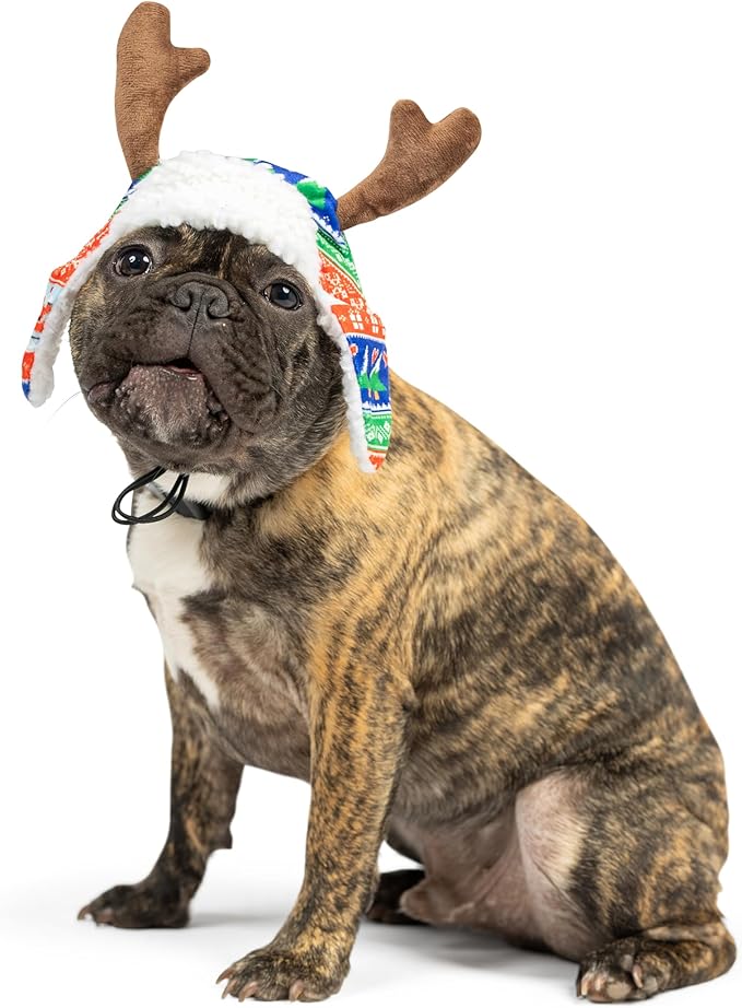 Huxley & Kent Pet Hat | Ugly Sweater Antler (Medium) | Fun Christmas Holiday Hat for Dogs/Cats | Cute, Comfortable and Fun | SnugFit Strings for Best Fit