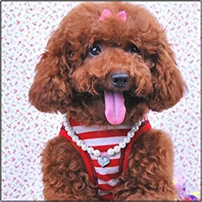 Fancy Pinky Crystal Heart Pet Cat Dog Necklace Jewelry with Bling Pearls Rhinestones Charm for Pets Cats Small Dogs Girl Teacup Chihuahua Yorkie Clothes Costume Outfits (8-Inch)
