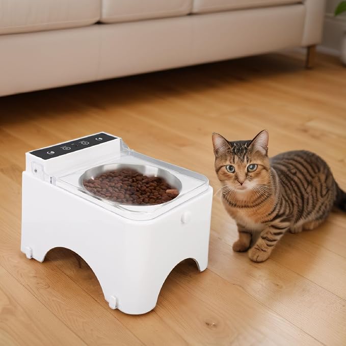 Automatic Cat Feeder, Induction Lid Opening Smart Dog Cat Bowl Prevent Food Pollution Pet Food Dispenser, Cat Automatic Sensing Feeder with Transparent Lid, Cat Food Dispenser