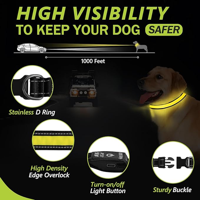 Rechargeable Glowing Dog Collar - Flashing, Adjustable, Waterproof Light Up for Night (Yellow, Pack of 1, XS)
