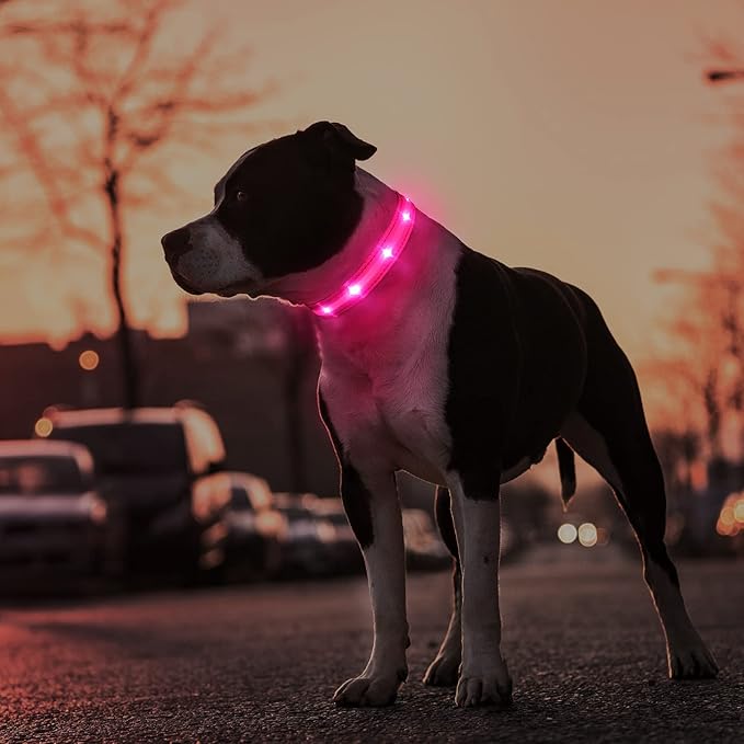 MASBRILL Rechargeable LED Dog Collar - Water-Resistant, Light Up, Flashing, Glowing for Night Safety - Adjustable Illuminated (S, Pink)