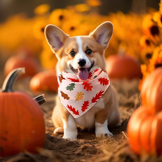 Preboun 100 Pcs Fall Thanksgiving Dog Bandanas Bulk Pumpkin Maple Leaves Bandanas for Dogs Triangle Kerchief Bibs Scarf for Pets Costume Photo Props Accessories Pet Shops Adoption Events, 25 Styles