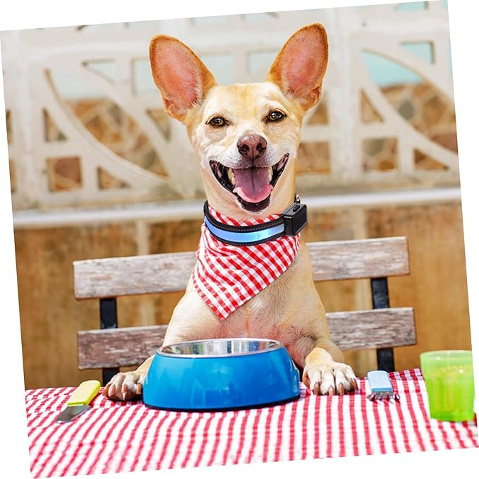 Led Solar Rechargeable Flashing Dog Collar High Visibility Glow Pet Neckband with USB Charging for Dogs Blue s Stylish and Safe Nighttime Accessory