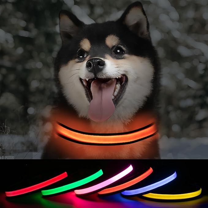 Lighted Dog Collars Rechargeable, Glow in Dark Dog Collar Waterproof, Flashing Led Dog Collars, Light Up Dog Collar for Night Walking (Orange, Pack of 1, S)