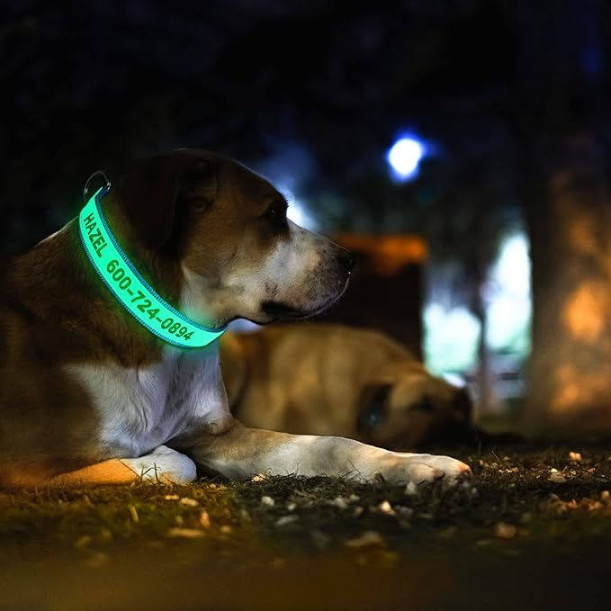 Personalized Glow in The Dark Embroidered Dog Collar, Luminous Custom Dog Collar with Name and Number, Fluorescent Glow Lighted Dog Collars for Night Adjustable Length Fits All Dogs