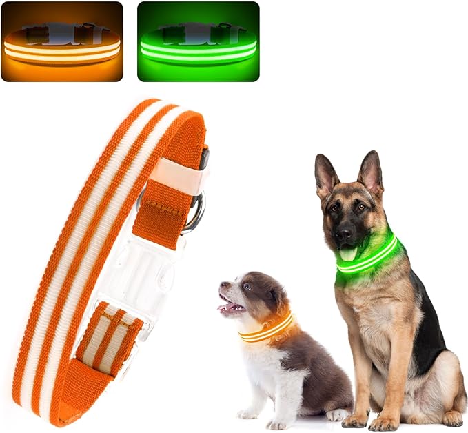 LED Dog Collar, Light Up Dog Collar, Lighted Dog Collars Adjustable for Night Walking, Glow in The Dark Dog Collars Light with USB Rechargeable Color Changing Waterproof for Dogs (Orange, Small)