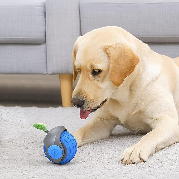 ZAHABI Speedy Tail 3.0 Automatic Dog & Cat Toy (2 Pack) – USB Rechargeable Rolling Ball with Soft Tail, Interactive Pet Toy for Puppies, Kittens & Active Pets (Blue & Orange)