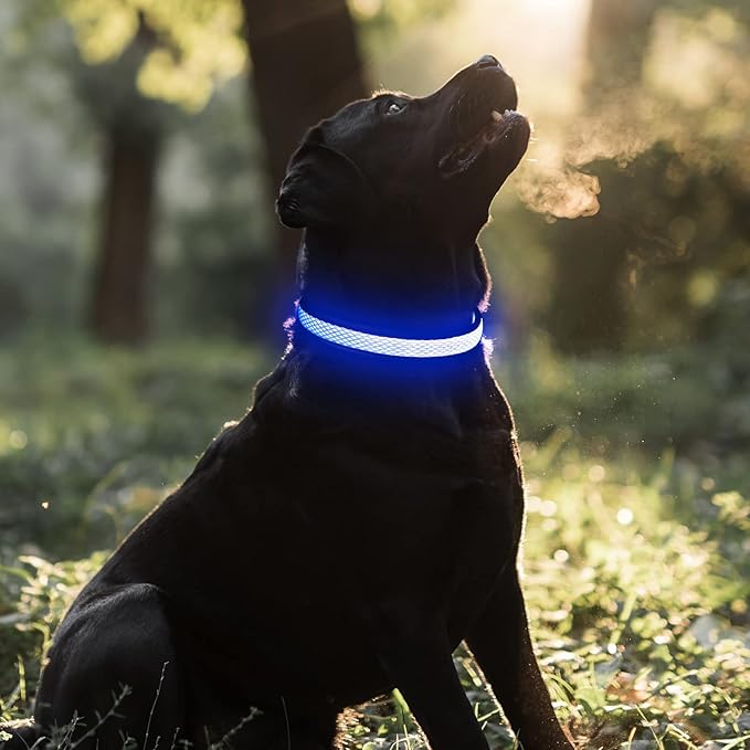 BSEEN Light Up Dog Collar - Reflective LED Dog Collar Rechargeable, Glowing Pet Collars, Adjustable Doggie Lights for Night Walking (Medium Collar, Royal Blue)