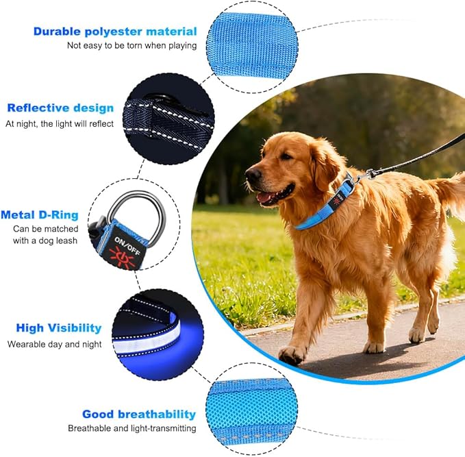 LED Dog Collar, Light Up Dog Collar Adjustable USB Rechargeable High Visibility Dog Light Glowing Pet Collars for Small Medium Large Dogs (Blue, M)