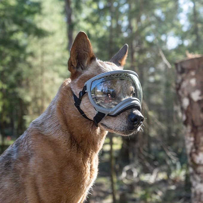 Rex Specs V2 Dog Goggles (Gallatin Grey, X-Large)