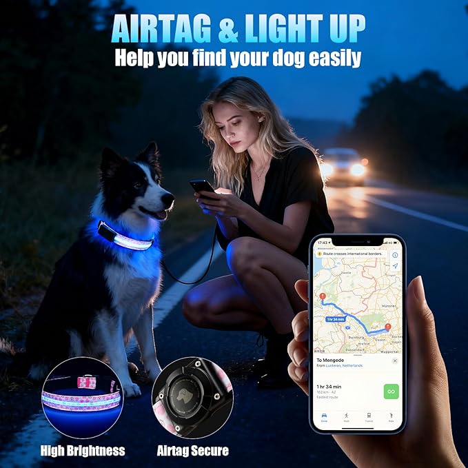 LED AirTag Dog Collar - Brightest Light Up Dog Collars - IP68 Waterproof Air Tag Dog Collar Holder - 1,600 Feet of High Visibility - Magnetic Charging - Dog Lights for Night Walking (Heart, XL)