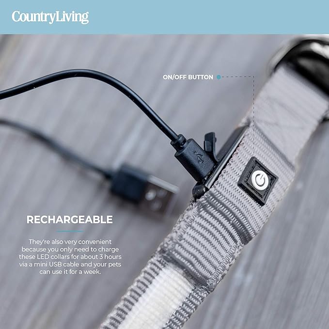 Silver Paw Light Up Dog Collars, LED USB Rechargeable Dog Collar, Waterproof & Durable (Grey, M)