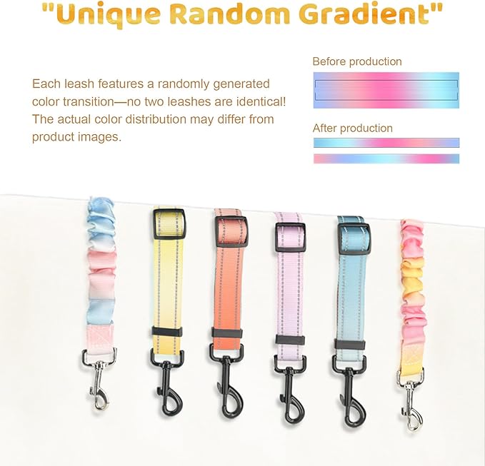 Double Dog Leash for Two Dogs - Gradient Color No Tangle Swivel Dog Coupler with Heavy Duty Clip, Size Adjustable Bungee Leash Attachment for Small, Medium, Large 2 Dogs, Style 3