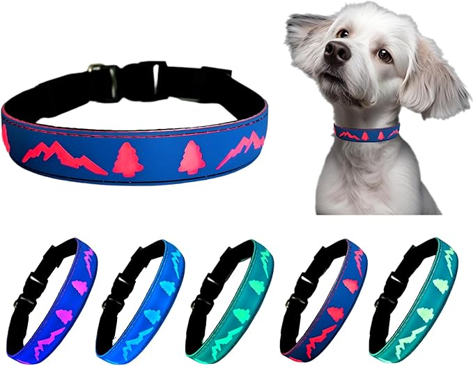 Personalized Light up Dog Collars Rechargeable with Waterproof airtag Holder for Black Dog Night Walking (Blue Collar 15 Modes Lighting, M(11.8-15.7"))