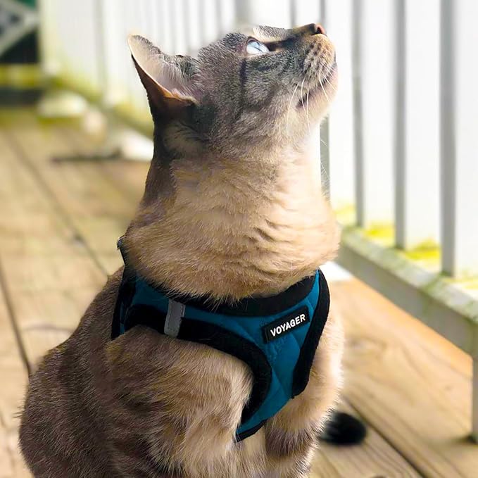Best Pet Supplies - All Weather Plush, Reflective, No Pull Harness for Small, Medium Dogs, Cats - Secure with Hook & Loop Fastener, Buckle, Double D-Rings - Turquoise Plush, M