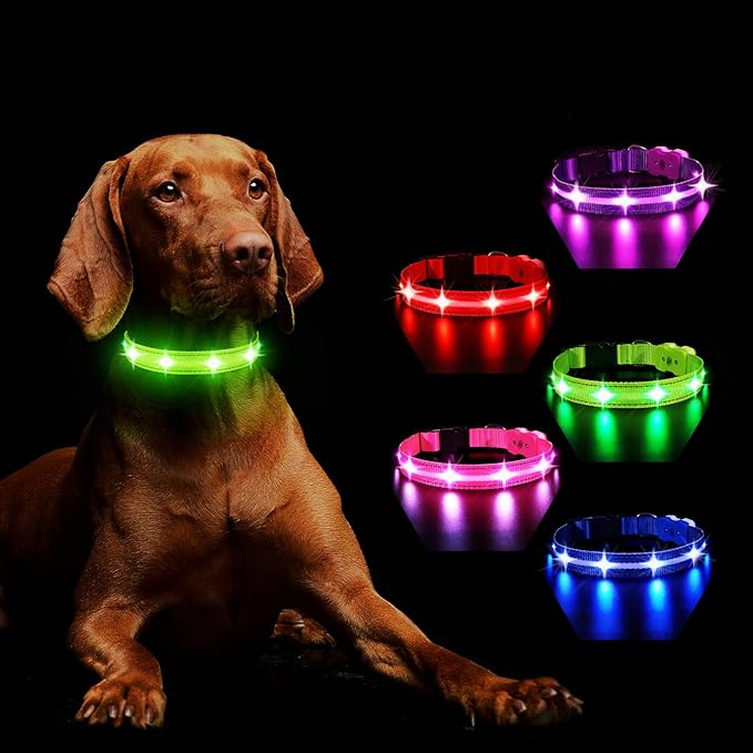 MASBRILL Light Up Dog Collar - RGB LED, Rechargeable, Water-Resistant Glow Up Night Walking Collar for Small to Large Dogs