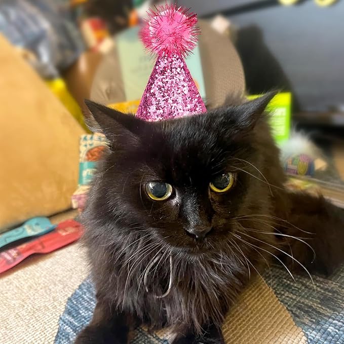 Mini Party Hats, 10Pcs Small Birthday Hats with Sequins for Stuffed Animals, Glittery Cone Party Hats with Pom-Pom Top for Dogs Cats Puppies Kittens, Colorful Festive Birthday hat for Pet Celebrations